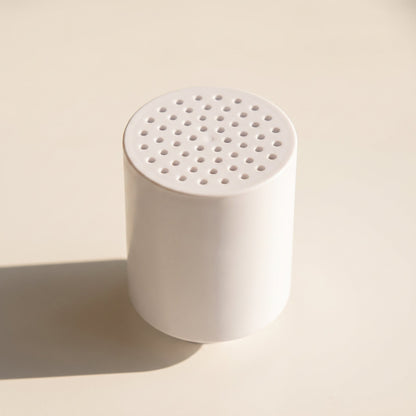 Mosswell Filtered Shower Head — Takes the Chlorine Out on the Way Through